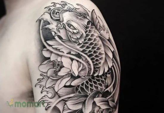 Tham khảo những hình xăm cá chép hoa sen ấn tượng nhất