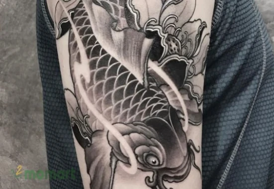 Tham khảo những hình xăm cá chép hoa sen ấn tượng nhất