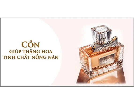CÁC THÀNH PHẦN NƯỚC HOA LÀ GÌ, TẠI SAO NƯỚC HOA CÓ MÙI THƠM ĐẾN VẬY?