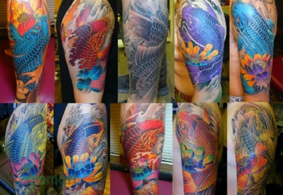 Tham khảo những hình xăm cá chép hoa sen ấn tượng nhất