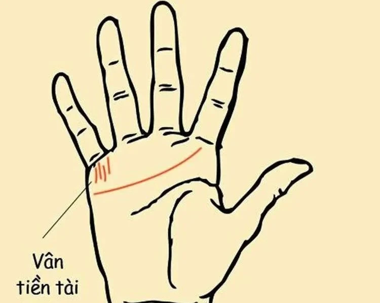 Xem tướng bàn tay nữ và vận tài lộc tương lai