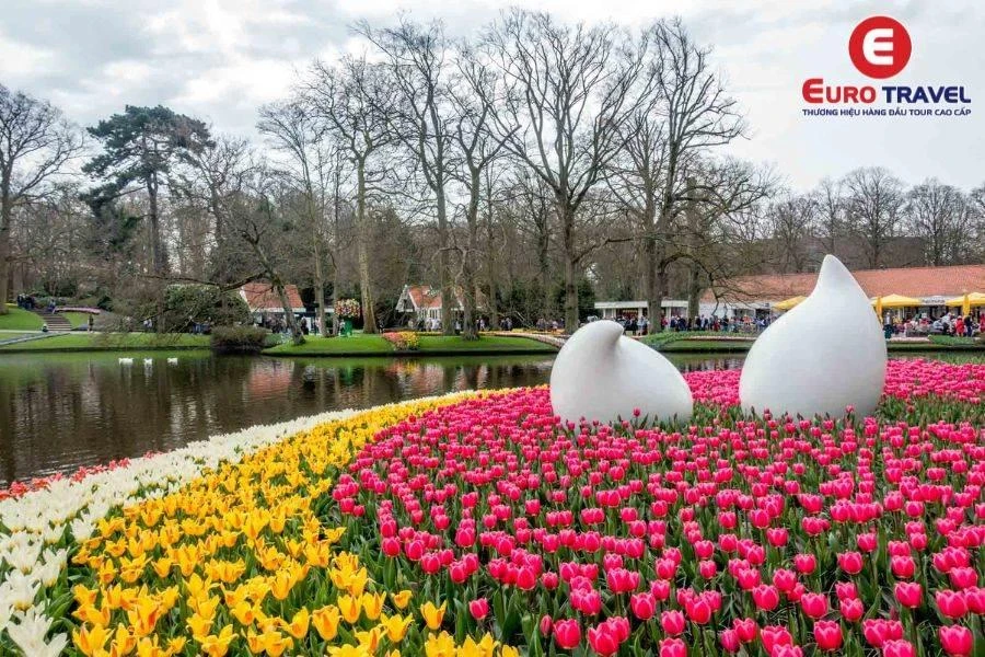 Đắm mình với hoa Tulip trong Vườn hoa Keukenhof Hà Lan