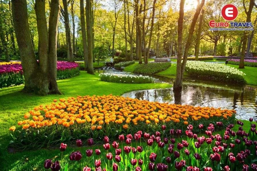 Khám Phá Vườn Hoa Tulip Tại Keukenhof