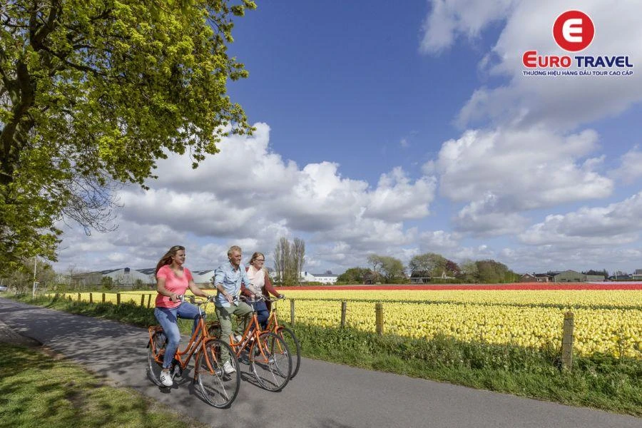 Đắm mình với hoa Tulip trong Vườn hoa Keukenhof Hà Lan