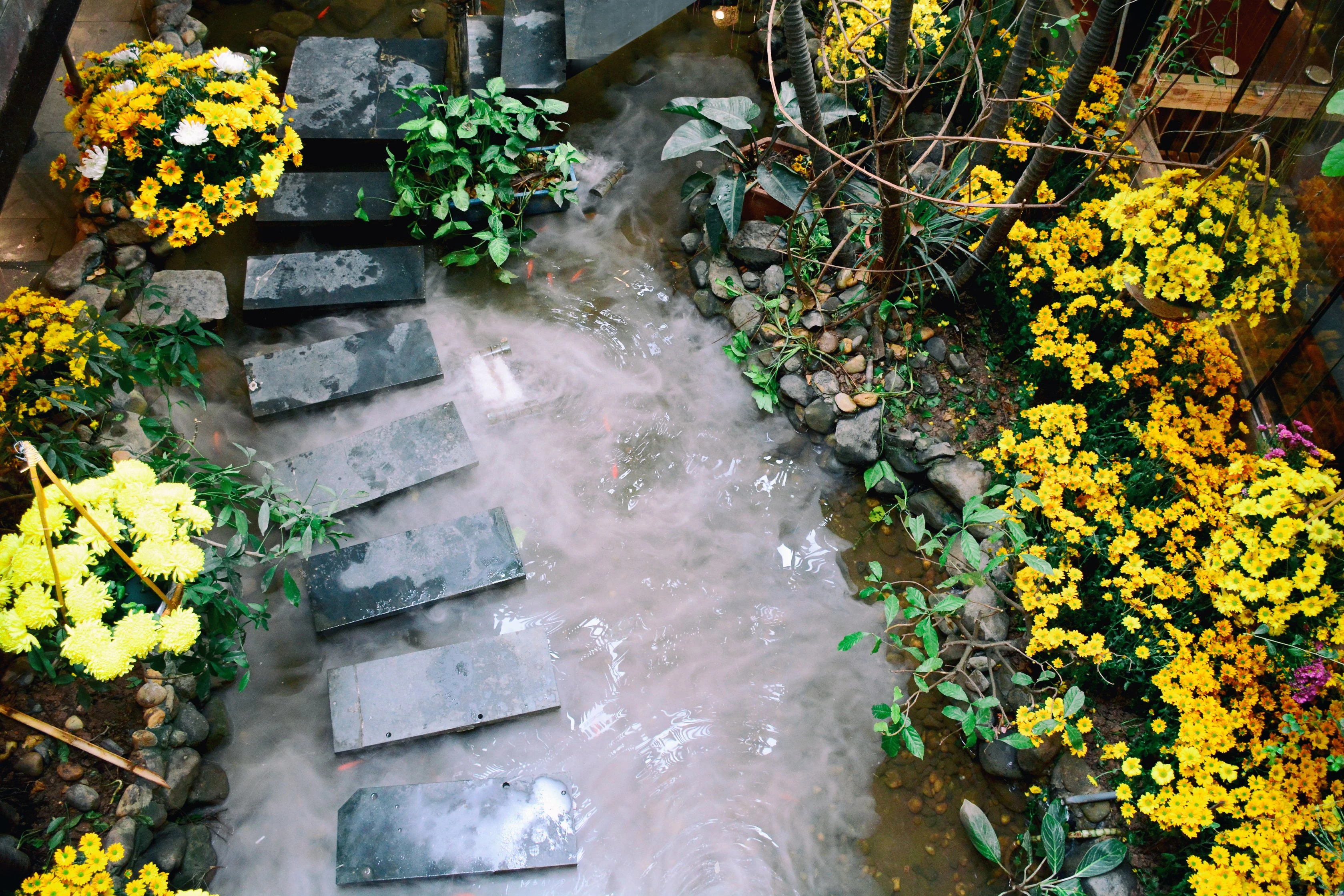 Khám Phá Nhà Hàng Tây Bắc Pao Quán Tại Hà Nội