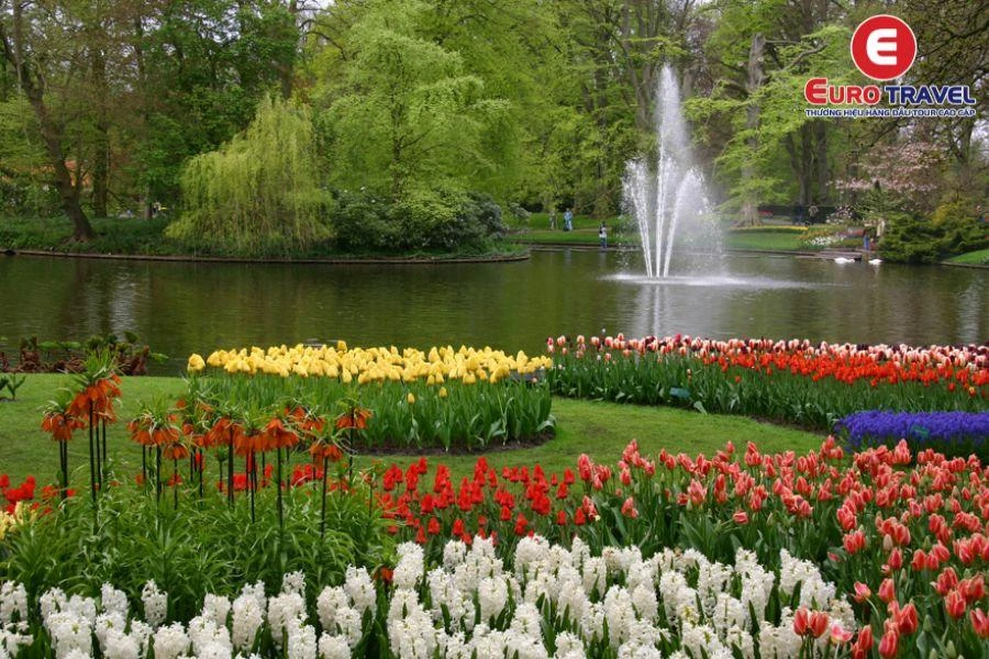Đắm mình với hoa Tulip trong Vườn hoa Keukenhof Hà Lan