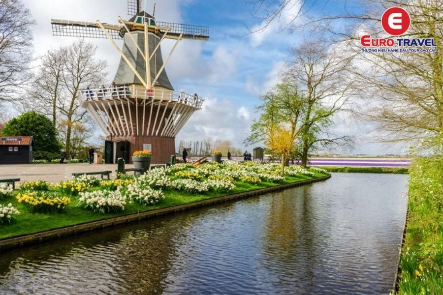 Đắm mình với hoa Tulip trong Vườn hoa Keukenhof Hà Lan