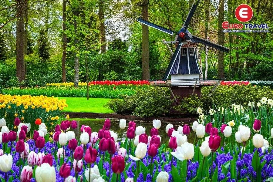 Đắm mình với hoa Tulip trong Vườn hoa Keukenhof Hà Lan