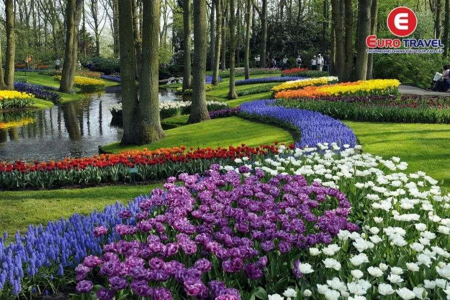 Đắm mình với hoa Tulip trong Vườn hoa Keukenhof Hà Lan