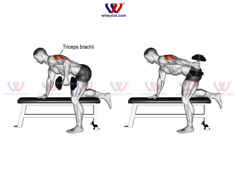 10 Bài tập tay sau tốt nhất giúp cơ bắp tay vạm vỡ, nam tính