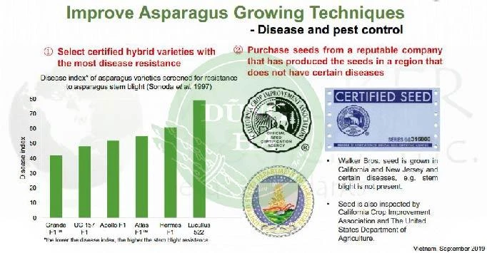 Giống cây măng tây mỹ atlas