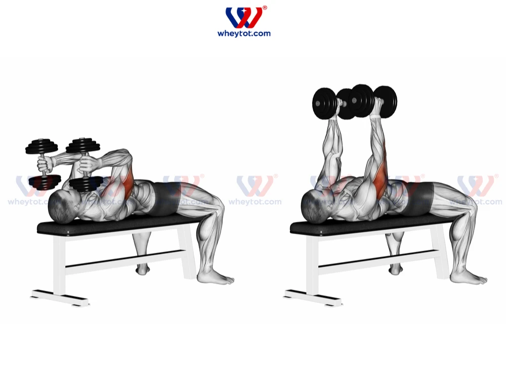 10 Bài tập tay sau tốt nhất giúp cơ bắp tay vạm vỡ, nam tính