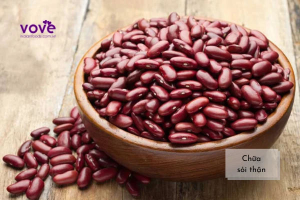 Đậu Thận (Đậu đỏ Tây) - Red Kidney bean