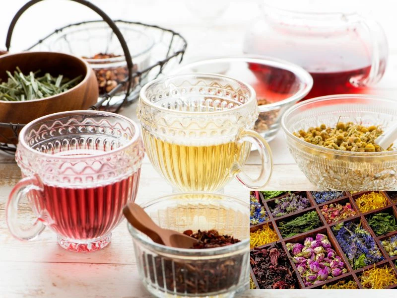 Top 10 các loại trà trái cây tươi ngon nhất hiện nay