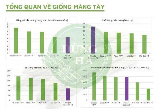 Giống cây măng tây mỹ atlas