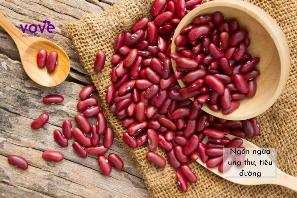 Đậu Thận (Đậu đỏ Tây) - Red Kidney bean