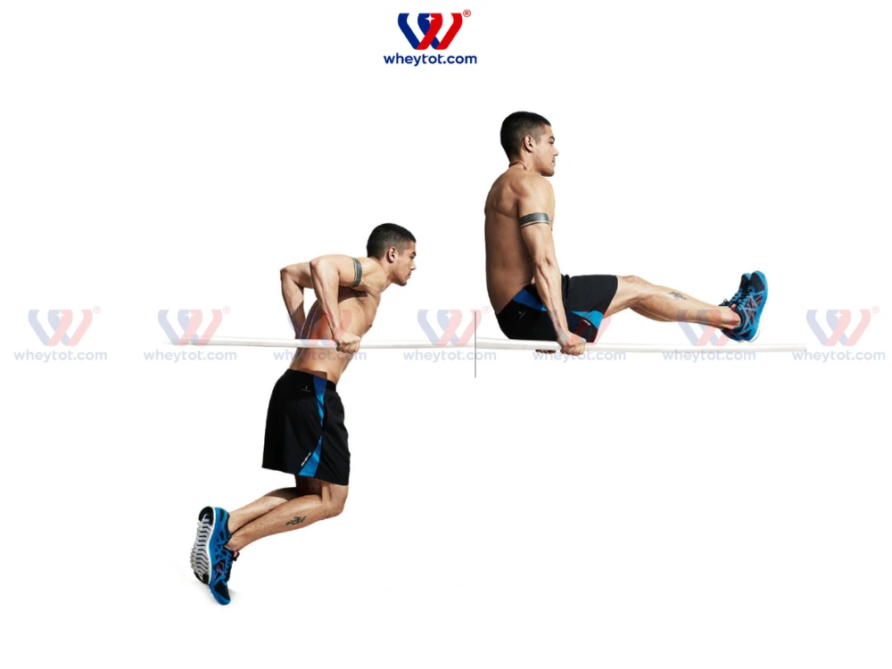 10 Bài tập tay sau tốt nhất giúp cơ bắp tay vạm vỡ, nam tính