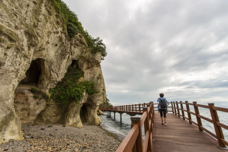 Giải mã lý do vì sao “Khi hoa trà nở” làm say lòng cả những khán giả khó tính nhất