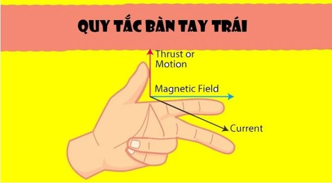 Quy tắc bàn tay trái lớp 11 trong môn Vật lý