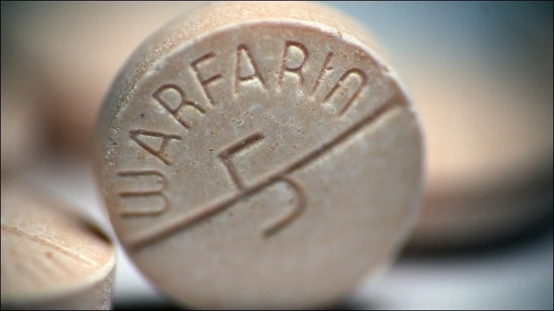 Ai không nên uống hoa đu đủ đực? Các đối tượng cần lưu ý khi dùng