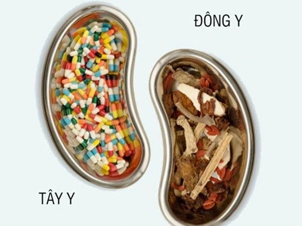 Uống thuốc tây và thuốc nam cách nhau bao lâu