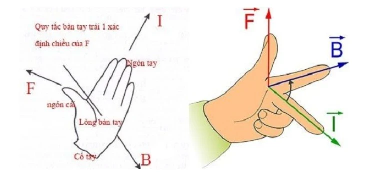 Nắm trọn lý thuyết quy tắc bàn tay trái và bài tập vận dụng