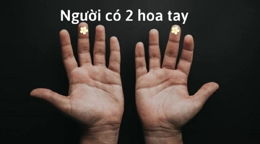 Luận giải 2 hoa tay có ý nghĩa gì theo từng vị trí xuất hiện