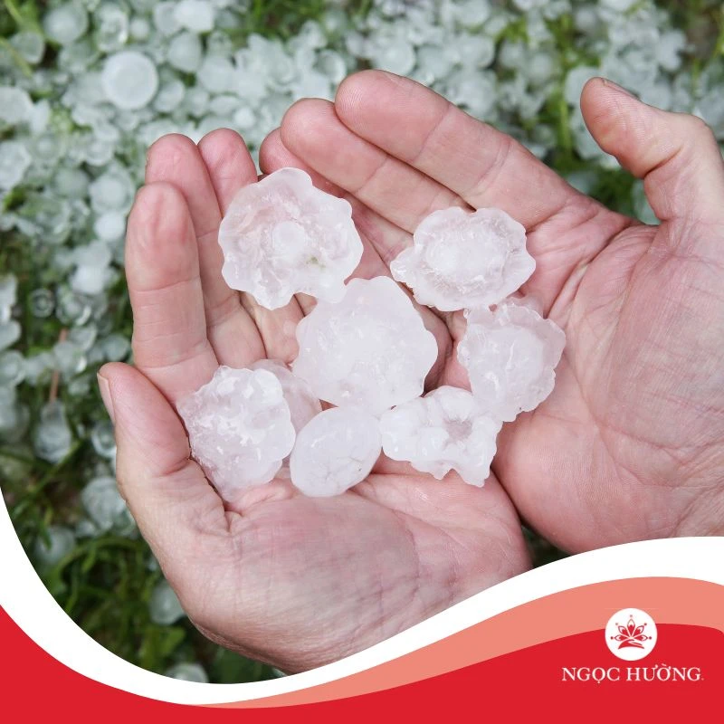 Khám Phá Đặc Điểm Bàn Tay Phụ Nữ Khổ Trong Tử Vi