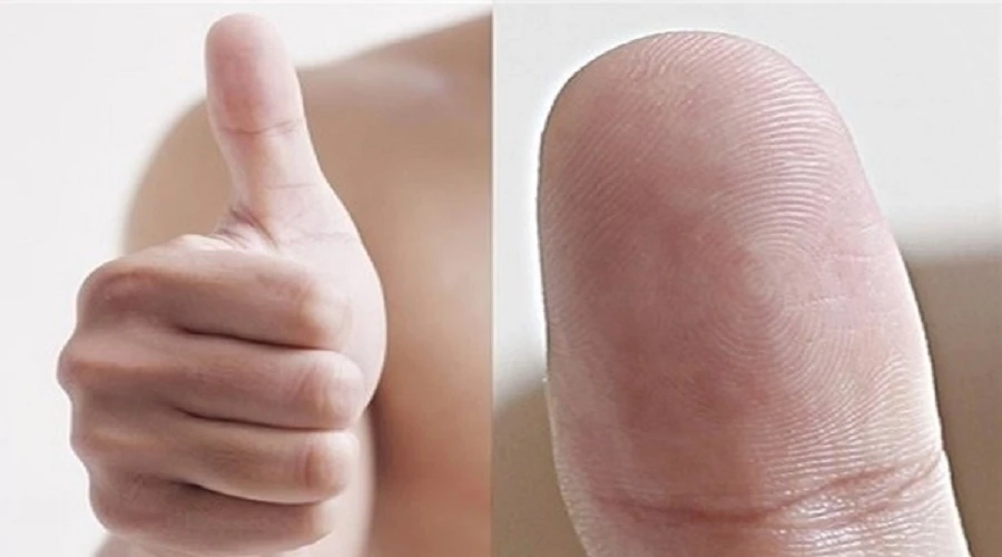 Hoa tay có ý nghĩa gì trong nhân tướng học