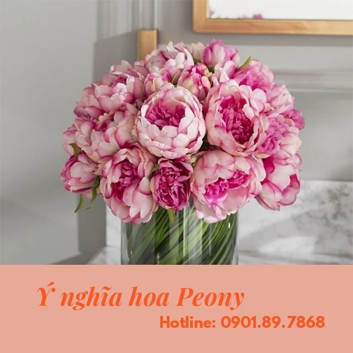 Peony là hoa gì? Ý nghĩa của loài hoa mang tên Peony