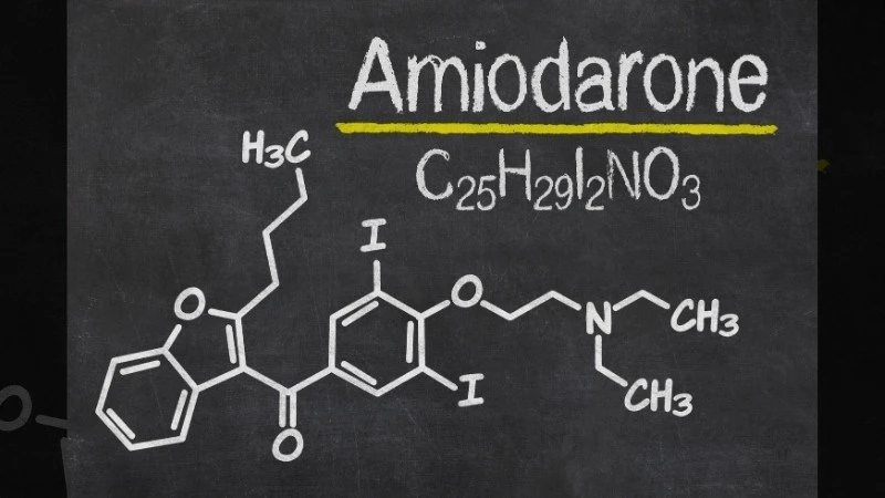 Ai không nên uống hoa đu đủ đực? Các đối tượng cần lưu ý khi dùng