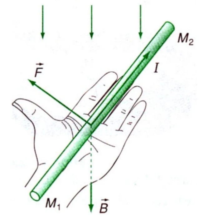 Nắm trọn lý thuyết quy tắc bàn tay trái và bài tập vận dụng