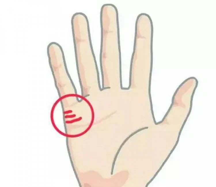 Xem đường chỉ tay, có điểm này biết ngay ai 2 lần