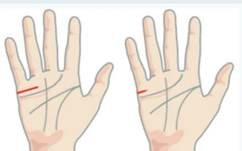 Nhìn vào bàn tay hôn nhân tan vỡ qua 6 đường chỉ