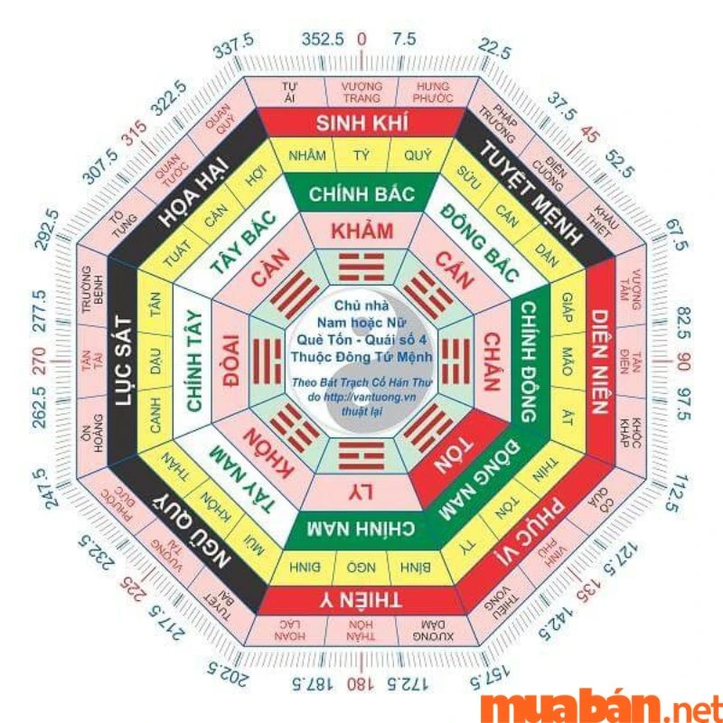 Khám Phá Tây Tứ Mệnh và Tác Động Đến Cuộc Sống