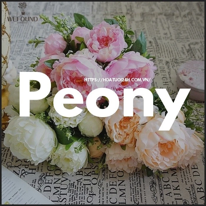 Hoa Peony Biểu Tượng Của Tình Yêu Và May Mắn