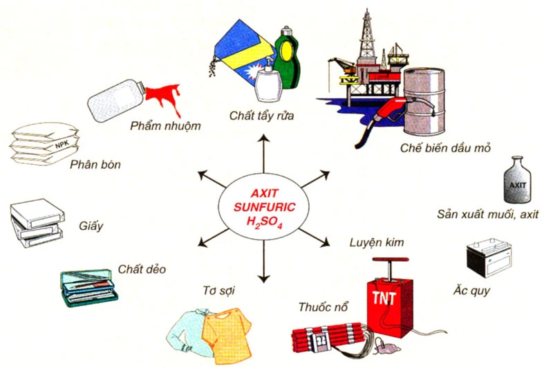 Khám Phá Axit Chloride và Axit Sunfuric Trong Hóa Học 9