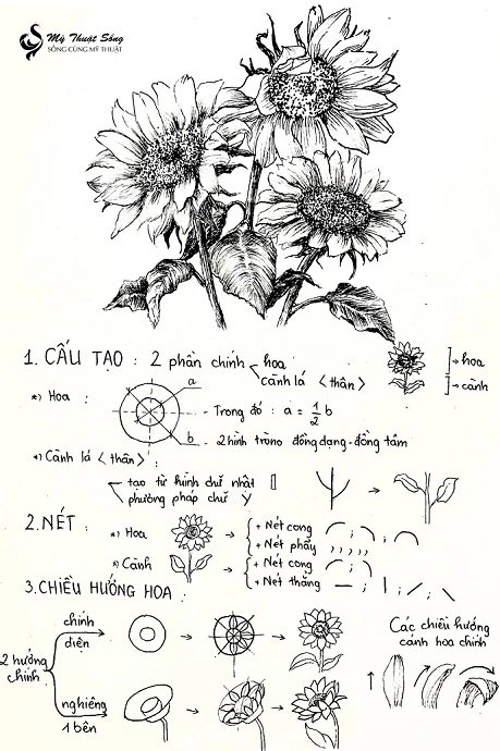 Kỹ thuật vẽ hoa hướng dương độc đáo và ý nghĩa