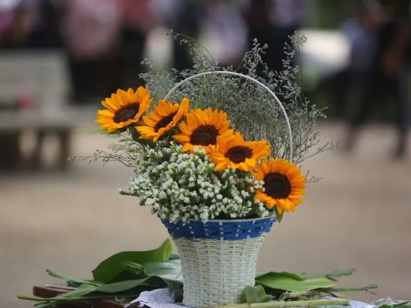 Gợi ý 30+ mẫu và cách cắm hoa 20/11 tặng thầy cô đẹp, ý nghĩa