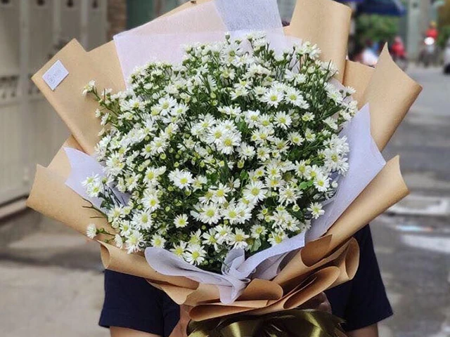 Hoa thạch thảo: Ý nghĩa cách trồng và cách chăm sóc