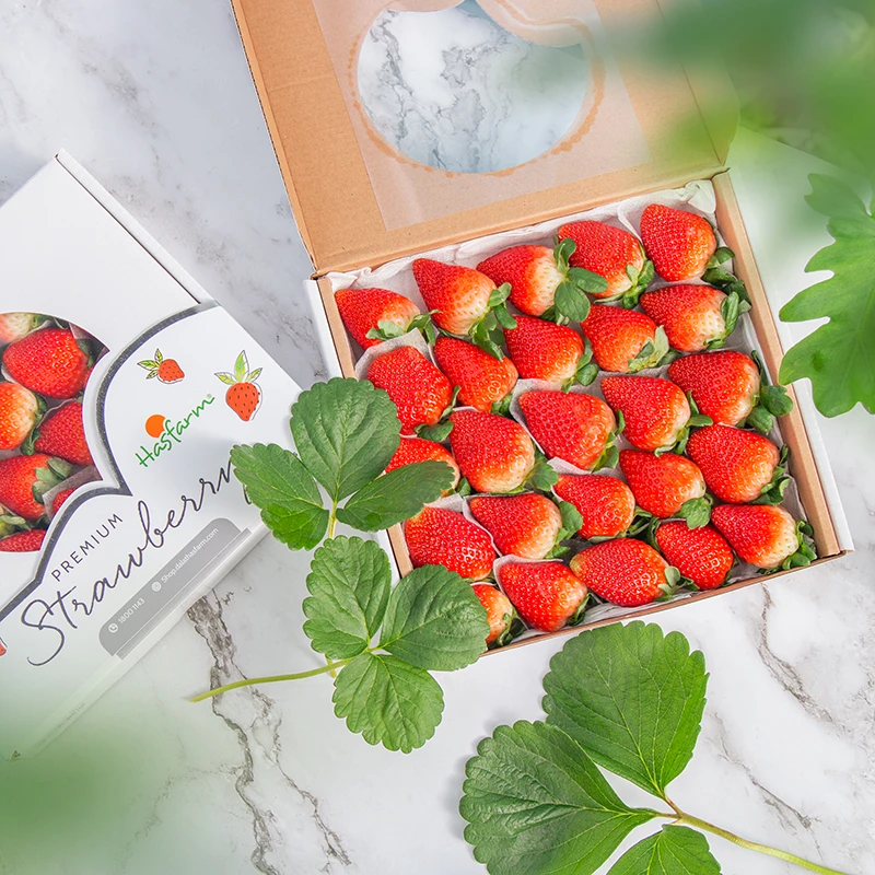 Hộp dâu tây: Đặc sản Đà Lạt thơm ngon dinh dưỡng