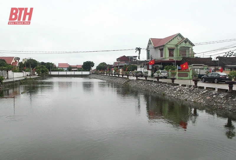 Khám Phá Vẻ Đẹp và Tiềm Năng Của Hoa Lộc