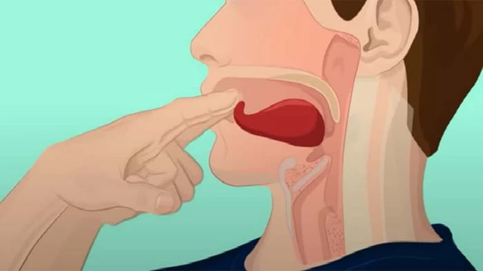 Hướng dẫn cách huýt sáo bằng tay một cách đơn giản, thực hiện dễ dàng