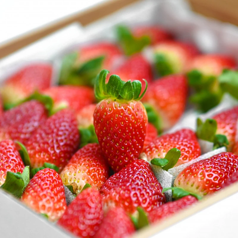 Dâu Tây Hasfarm 500gr, Nguyễn Thái Học Q1