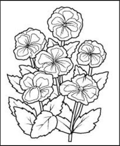 +100 Mẫu Hình tô màu hoa quả đẹp dành cho các bé