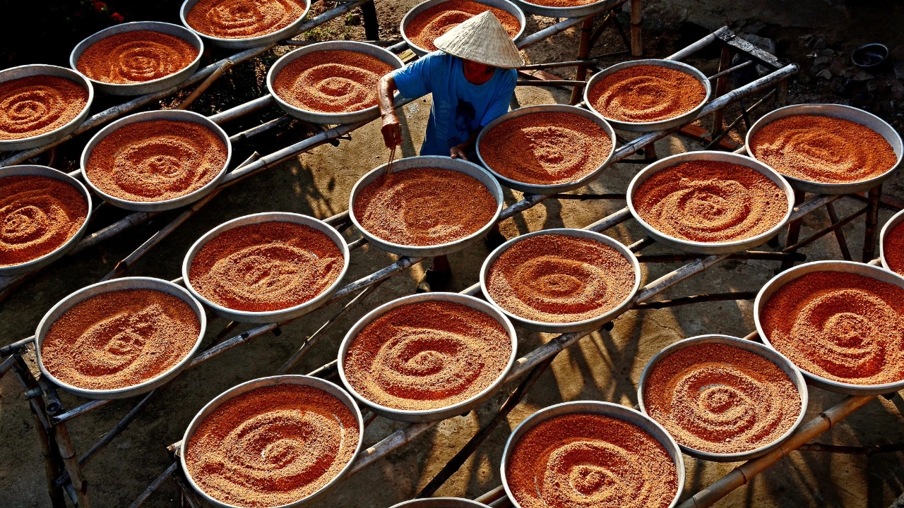 Lịch trình du lịch Tây Ninh 2 ngày 1 đêm tự túc hot nhất 2024