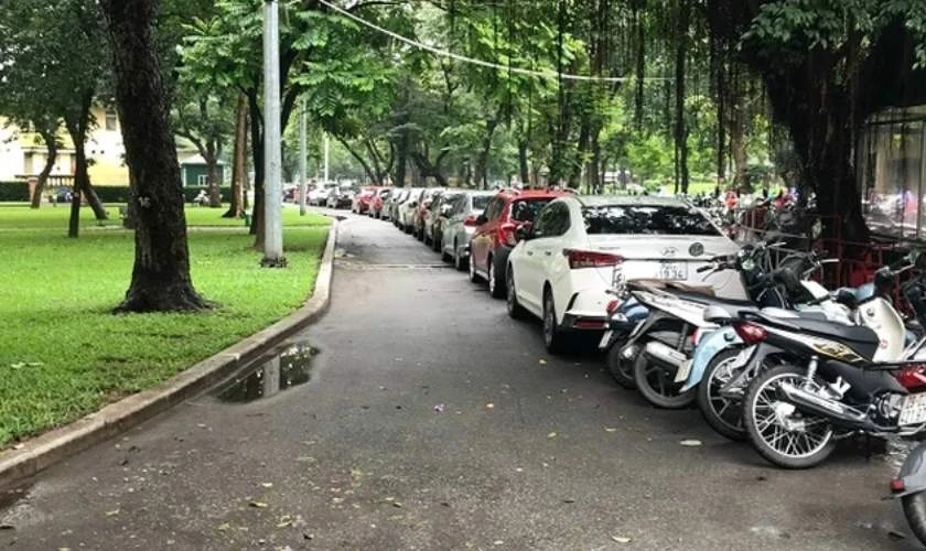 Địa điểm bắn pháo hoa Tết Dương lịch 2025 toàn quốc