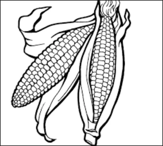 +100 Mẫu Hình tô màu hoa quả đẹp dành cho các bé