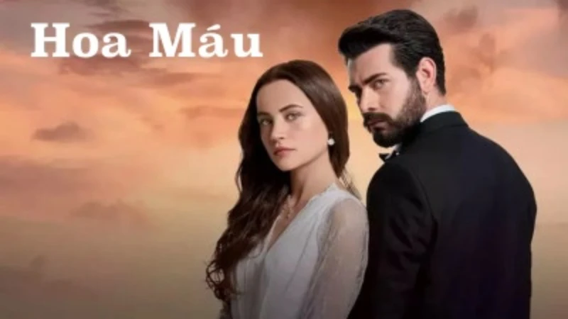 Khám Phá Phim Hoa Máu Thổ Nhĩ Kỳ Trọn Bộ Đầy Cảm Xúc