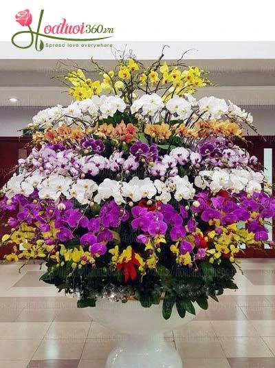 Hoa Chưng Tết: Vẻ Đẹp và Ý Nghĩa Sâu Sắc